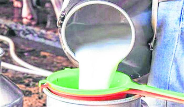 मिलावटी दूध बेचने वाले पर रासुका, जेल भेजा