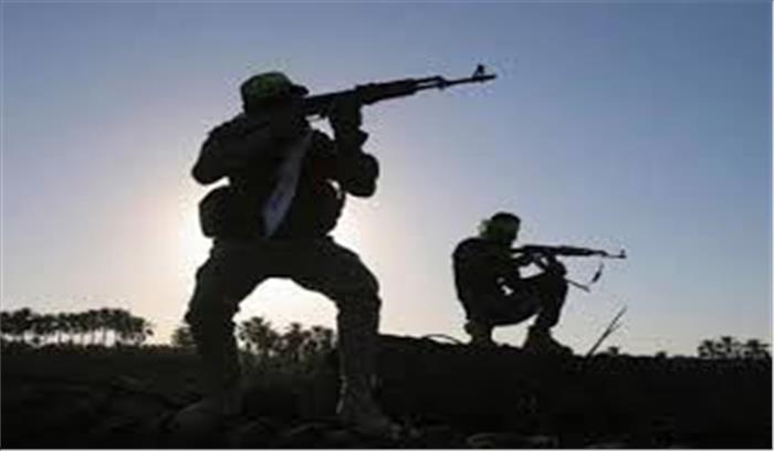 नाइजर में गश्ती दल पर हमले में 29 सैनिकों की मौत