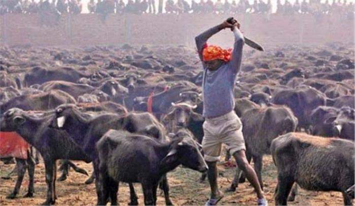 त्रिपुरा में मंदिरों में पशु-बलि रोक पर मिश्रित प्रतिक्रिया