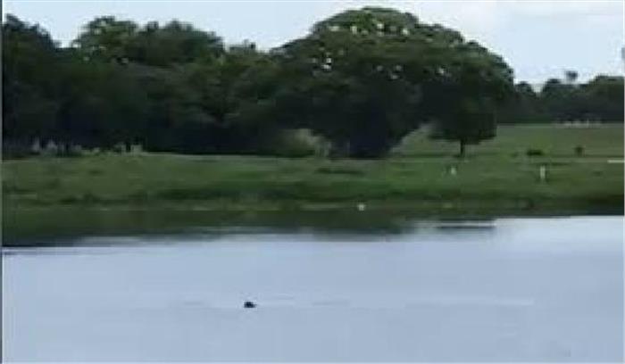 आगनबाड़ी गई तीन वर्षीय मासूम की तालाब में डूबने से मौत