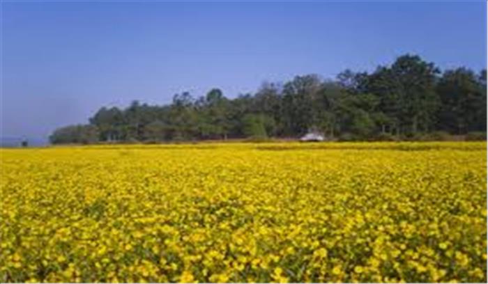 कृषि निर्यात नीति को लागू करने के लिए 8 राज्यों ने बनाई कार्य-योजना