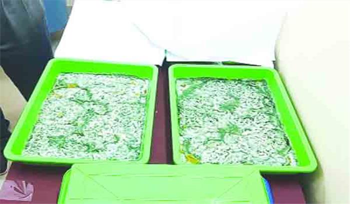 बेमेतरा : पौधों के लिए वरदान, सूक्ष्म जीव, ट्राइकोडर्मा, शूडोमोनस