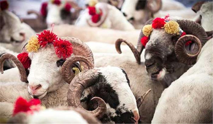 अजमेर शरीफ में बोहरा मुस्लिम शानोशौकत से मनायी बकरीद