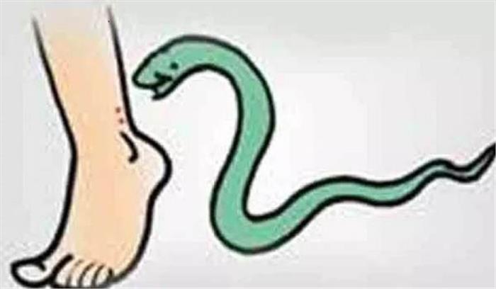 राजस्थान : सर्प दंश से एक महिला की मृत्यु