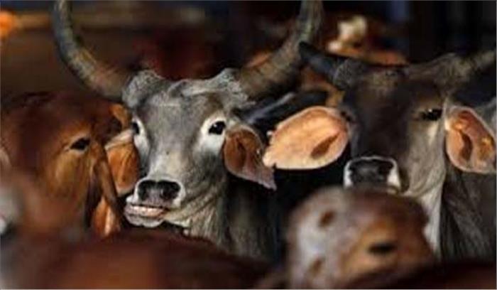 थाने में गोलियां बरसाकर फरार बदमाशों का अब तक कोई सुराग नहीं