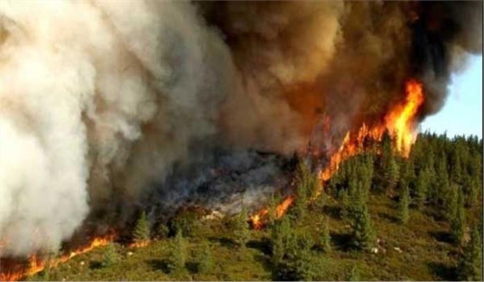 कैलिफोर्निया के जंगलों में लगी आग से 35 लोगों की मौत