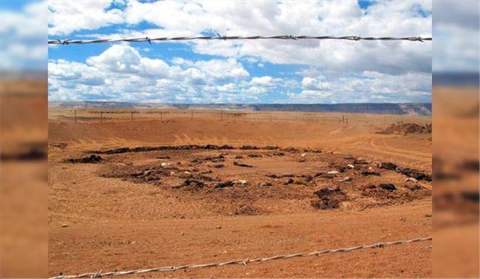 अमेरिका के एरिजोना में भुखमरी से 200 घोड़े मृत पाए गए