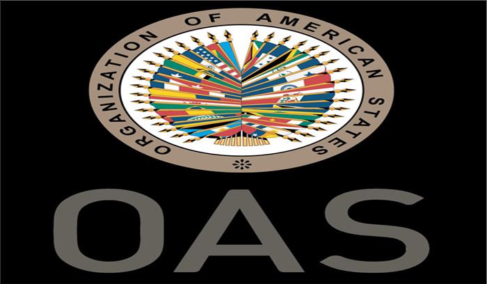 ओएएस ने दी बच्चों को मां-बाप से अलग करने की नीति के निंदा प्रस्ताव को मंजूरी