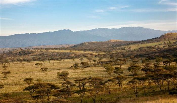 युगांडा : अमेरिकी पर्यटक का 5 लाख डॉलर की फिरौती के लिए अपहरण