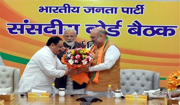 अमित शाह बने रहेंगे पार्टी अध्यक्ष, जे. पी. नड्डा बने कार्यकारी अध्यक्ष