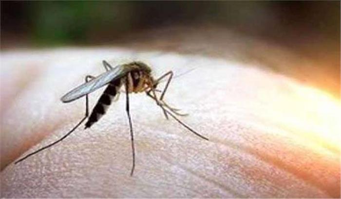 वेरका में डेंगू से मौत, लोगों ने शव के साथ दिया धरना वेरका में डेंगू से मौत, लोगों ने शव के साथ दिया धरना