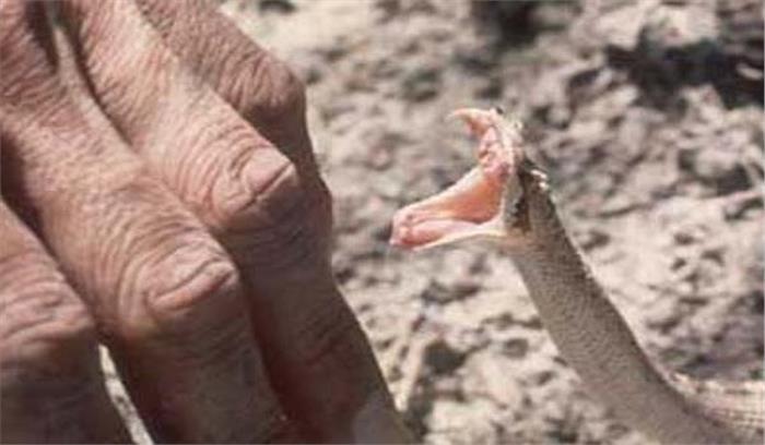 यूपी :सांप के काटने से युवक की मौत