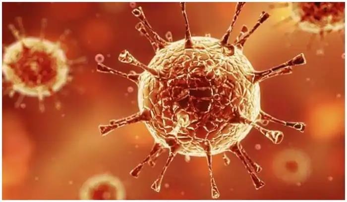 आंध्रप्रदेश में कोविड-19 के 52 नए मामले, कुल संख्या 2282 हुई