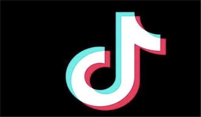 आंध्र प्रदेश की उप मुख्यमंत्री ने जगन की प्रशंसा में पोस्ट किया टिकटॉक वीडियो