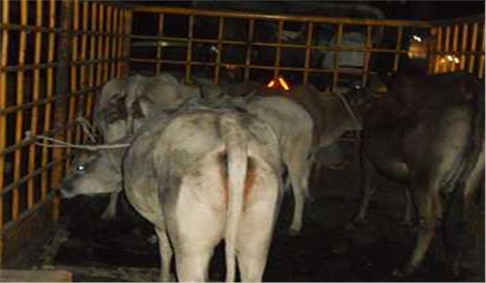 मोदीनगर पशु चोरी के मामले में कार्रवाई न होने से नाराज लोगों ने किया प्रदर्शन 