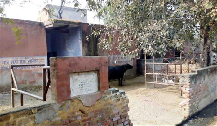 गांव बांसवा में पशु अस्पताल बना ग्रामीणों के लिए आरामगाह