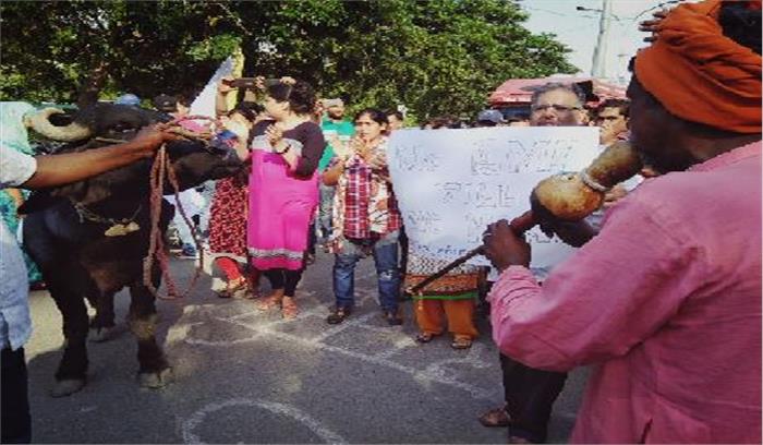 भैंस के आगे बीन बजाकर किया प्रदर्शन