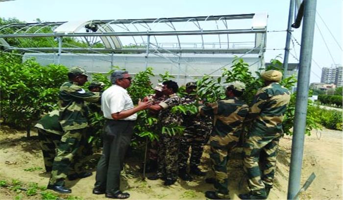 सीमा पर गोली से घायल दिव्यांग जवान ले रहे हैं बागवानी का प्रशिक्षण सीमा पर गोली से घायल दिव्यांग जवान ले रहे हैं बागवानी का प्रशिक्षण