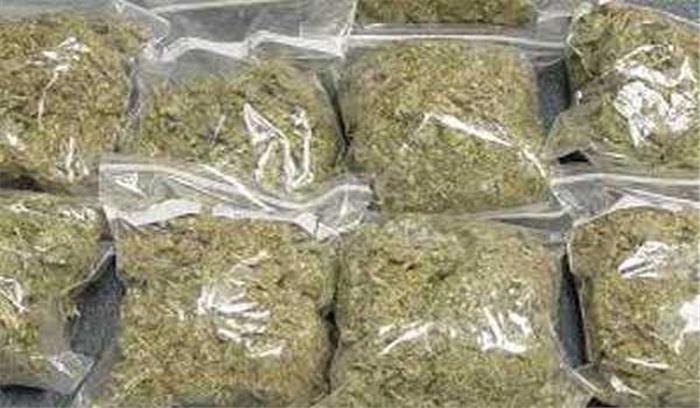 मध्यप्रदेश :गांजा तस्करी में लिप्त आरोपी गिरफ्तार