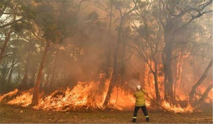 ऑस्ट्रेलिया : जानबूझ कर आग लगाने पर सैकड़ों लोग गिरफ्तार