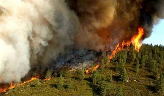 जंगल में लगी आग के बीच ऑस्ट्रेलियाई प्रशासन ने शुरू किया निकासी अभियान