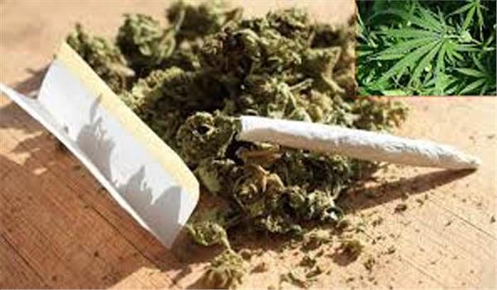 बिहार में 21 किलोग्राम नेपाली गांजा बरामद , दो गिरफ्तार बिहार में 21 किलोग्राम नेपाली गांजा बरामद , दो गिरफ्तार