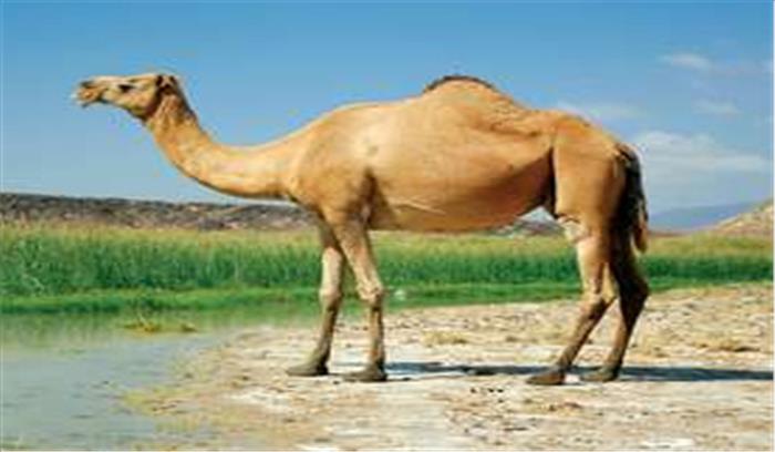 हाईकोर्ट में पुलिस के आदेश के खिलाफ याचिका दायर