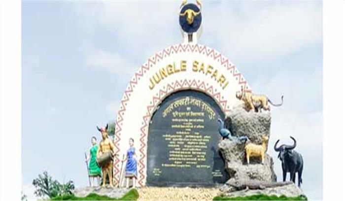 जिला सहकारी संघ के संचालक मंडल ने देखा जंगल सफारी जिला सहकारी संघ के संचालक मंडल ने देखा जंगल सफारी