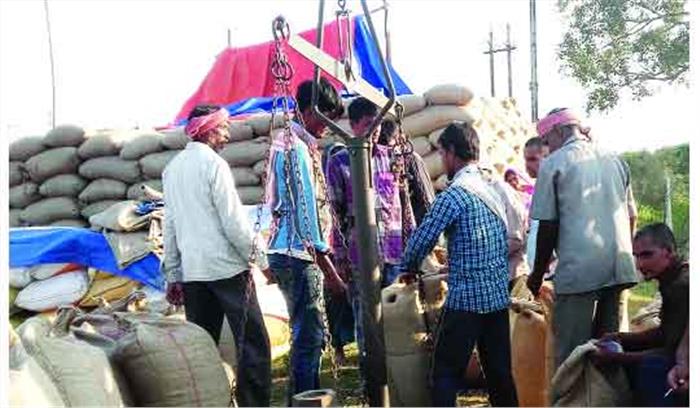 6 दिनों में कैसे होगी 13 लाख क्विंटल धान की खरीदी 6 दिनों में कैसे होगी 13 लाख क्विंटल धान की खरीदी