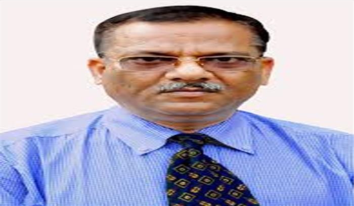 बरेली : कई कुत्तों की मौत से हड़कंप, आईवीआरआई ने कहा चिंता वाली बात नहीं 