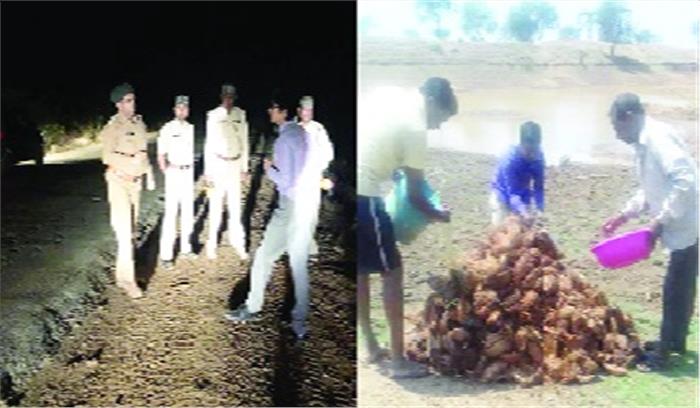 भालुओं की आहट पर वन अमला जुटा रात्रि गश्त में