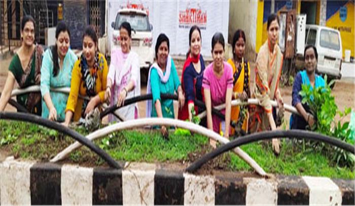 वत्सला ग्रुप ने की मार्ग विभाजक में सफाई