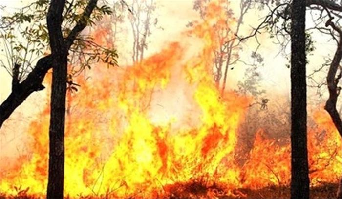 कर्नाटक के जंगल में आग का कहर जारी