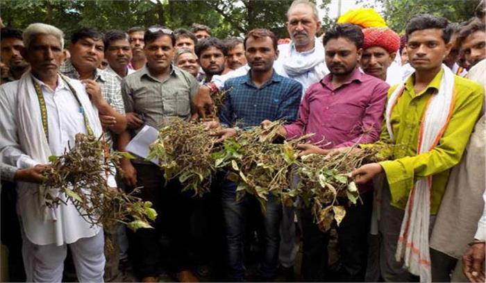 खराब फसलों को लेकर किसानों का प्रदर्शन