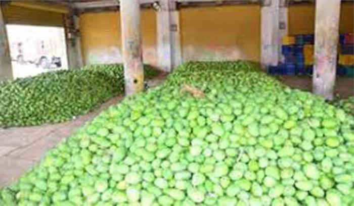 जर्दालू आम की भारी मांग, यातायात के साधनों की कमी से आपूर्ति पर असर जर्दालू आम की भारी मांग, यातायात के साधनों की कमी से आपूर्ति पर असर