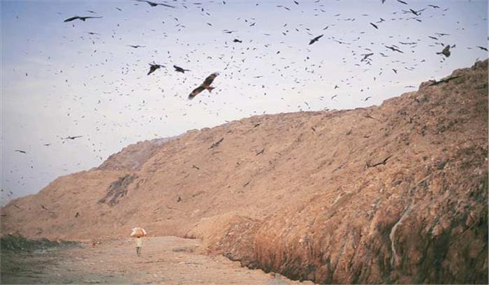 भलस्वा, ओखला के कूड़े के ढेर की ग्रेडिंग के बाद होगी हरियाली