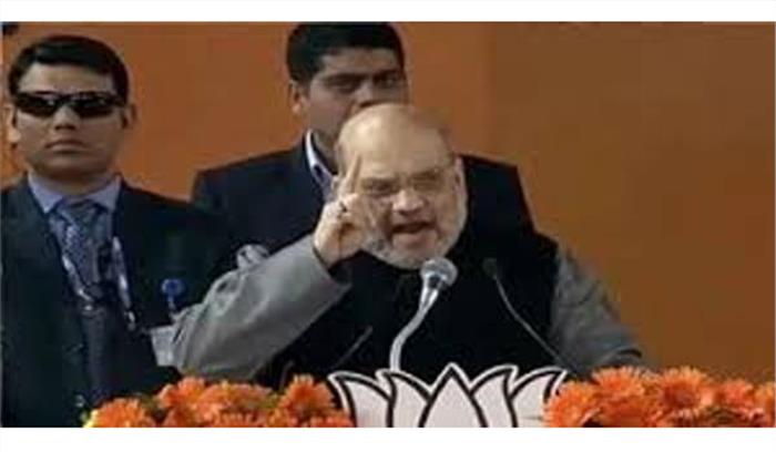 नरेंद्र मोदी के नेतृत्व में दिल्ली में भाजपा की सरकार बनेगी: शाह