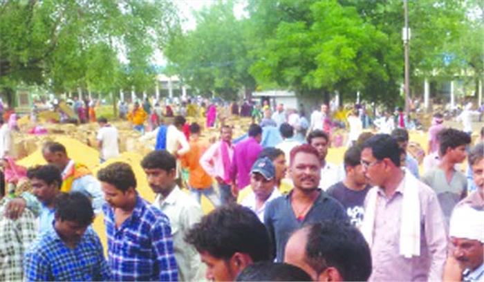 भाटापारा मण्डी में धान की आवक बढ़ी  