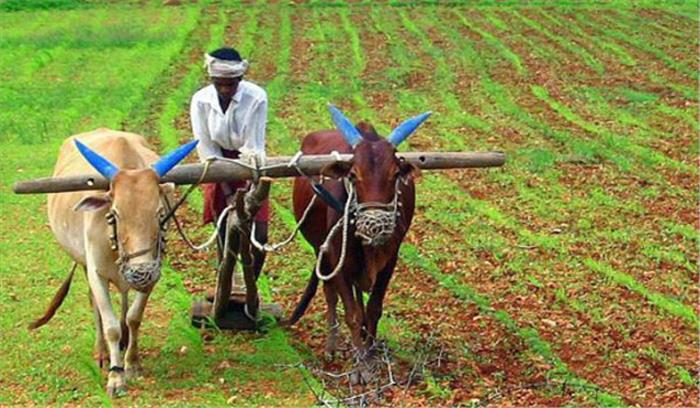 मप्र: 12 दिसंबर तक के किसानों को कर्जमाफी का लाभ