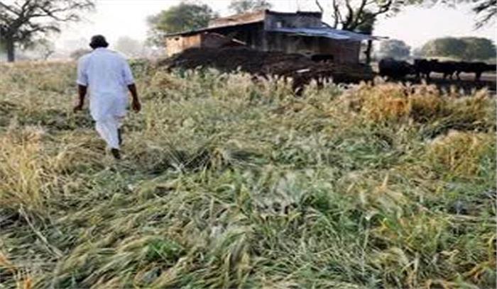 ओला पीड़ित किसानों को शत-प्रतिशत मुआवजा दिया जाए : शर्मा