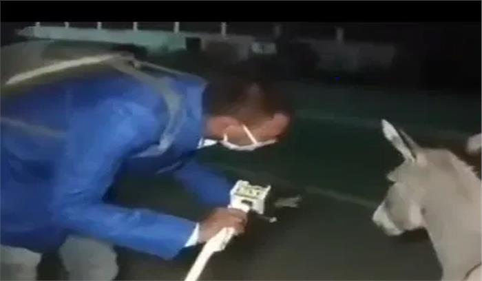 बिहार : गधा लॉकडाउन में बाहर घूमता है और मास्क नहीं लगाता वीडियो हो रहा वायरल