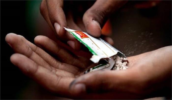 खैनी की खेती, बिक्री और इस्तेमाल पर बिहार सरकार कर रही है रोक की तैयारी 