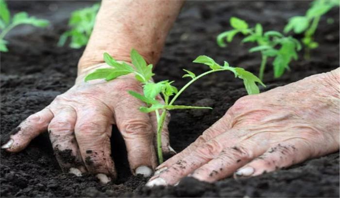 बिहार सरकार ने रखा 50 हजार एकड़ जमीन पर जैविक खेती का लक्ष्य