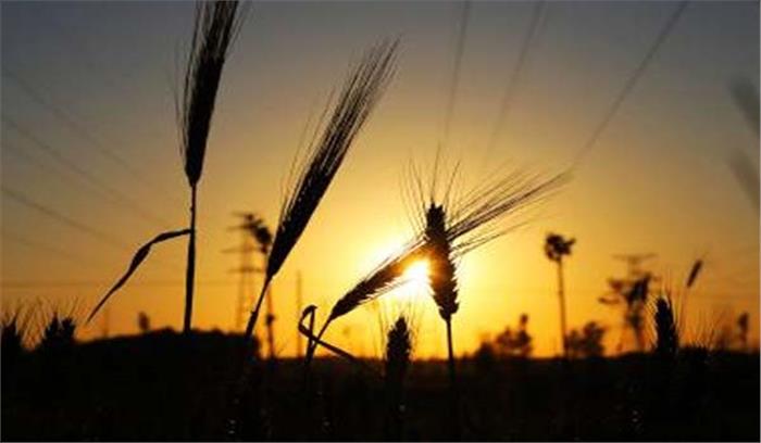 बिहार में अब मिट्टी की उत्पादकता, आबोहवा के मुताबिक खास फसलों की खेती