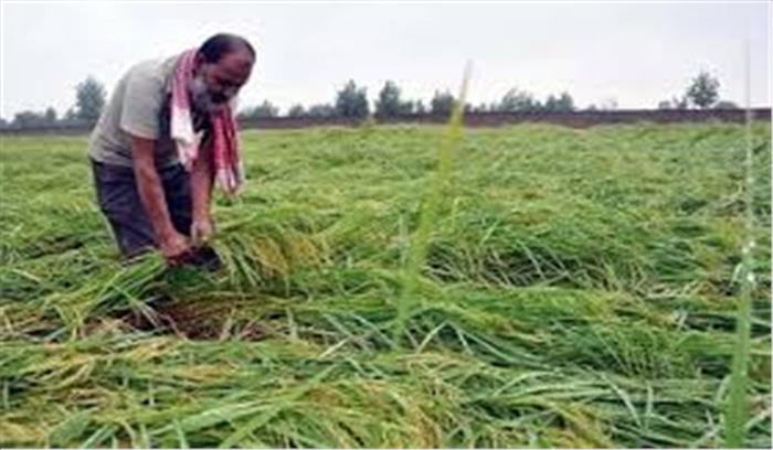 बिहार : किसानों को उद्यानिक उत्पाद विकास योजना में 90 प्रतिशत का अनुदान बिहार : किसानों को उद्यानिक उत्पाद विकास योजना में 90 प्रतिशत का अनुदान
