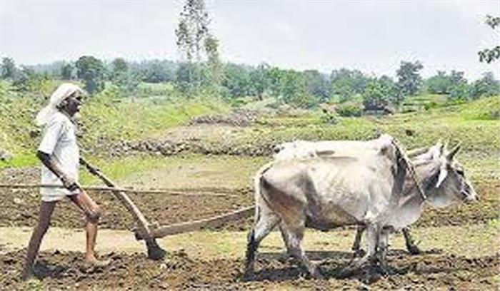 भागलपुर में आठ किसान सलाहकार बर्खास्त, चार निलंबित