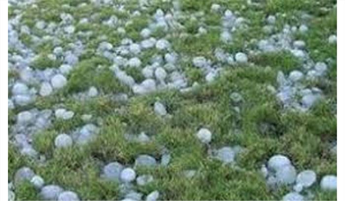 छत्तीसगढ़ और बिहार में ओले पड़ने का अनुमान