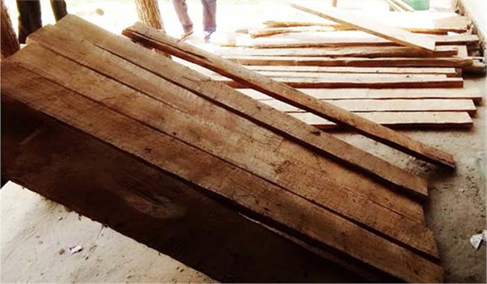 बीजापुर से जगदलपुर भेजी जा रही अवैध सागौन बरामद