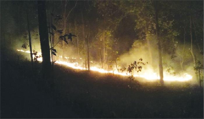 जंगल में लगी आग 4 दिन बाद भी नहीं बुझ पाई