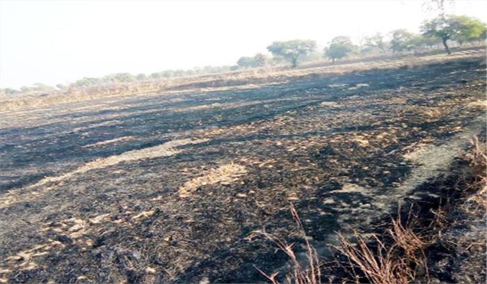 खेत में ठूंठ जलाने लगाई आग